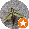victor wong Avatar